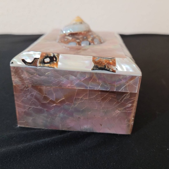 Turbo Tiger Shell Vintage Penshell Box - Picture 3 of 11